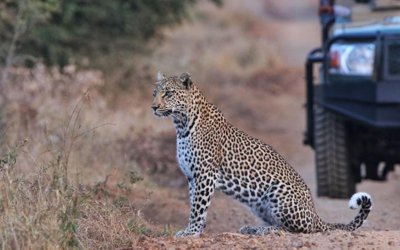 שלושלואי Sungulwane Private Game Lodge מראה חיצוני תמונה